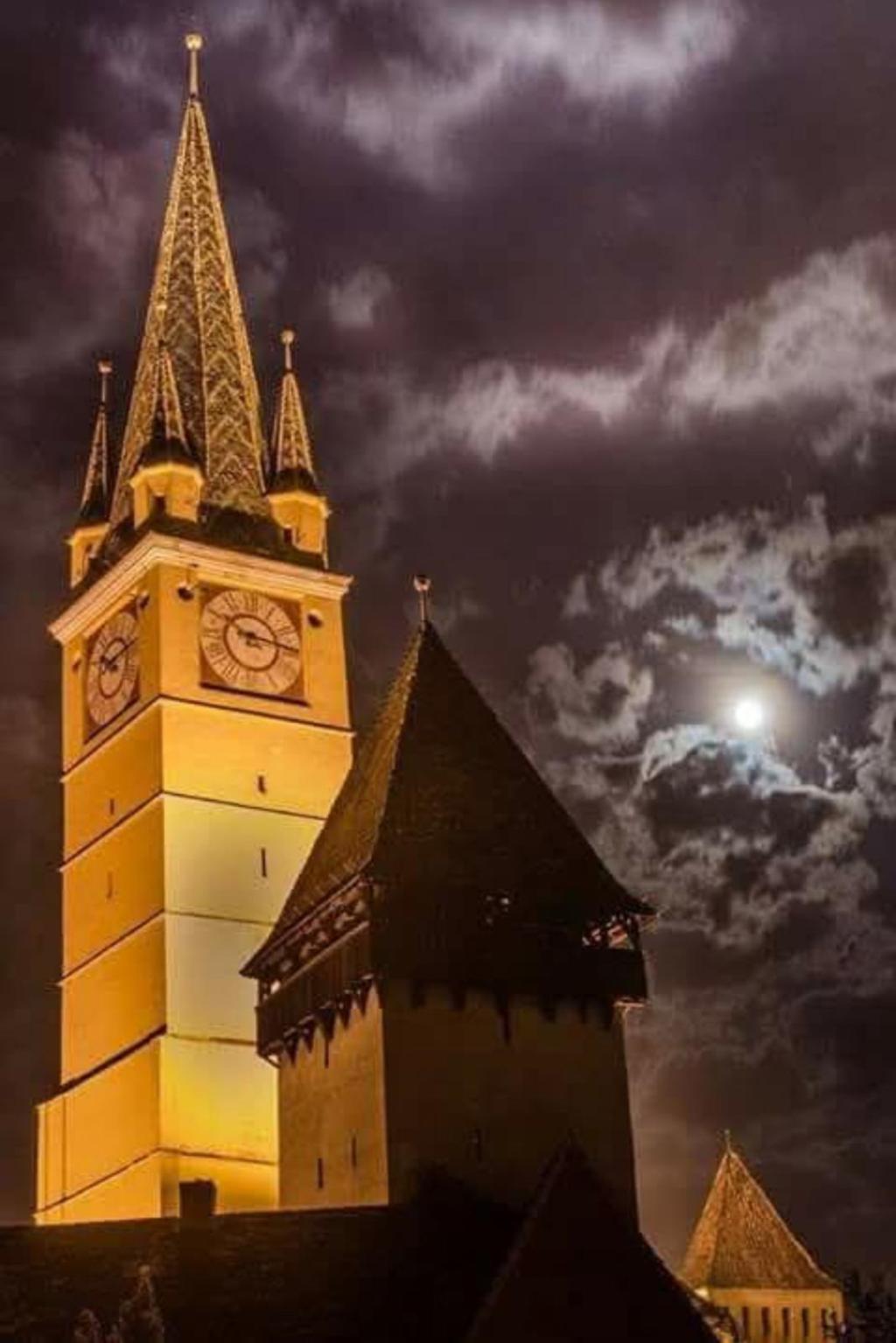 Geometria păcii și reorientarea inimii!!! / Die Geometrie des Friedens und die Neuausrichtung des&nbsp;Herzens!!!